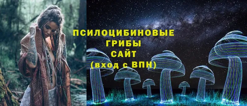 Псилоцибиновые грибы Psilocybine cubensis  Михайловка 